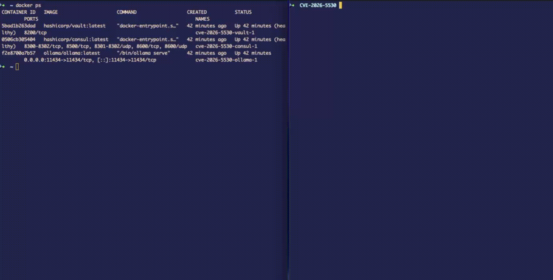 Exploit demonstration