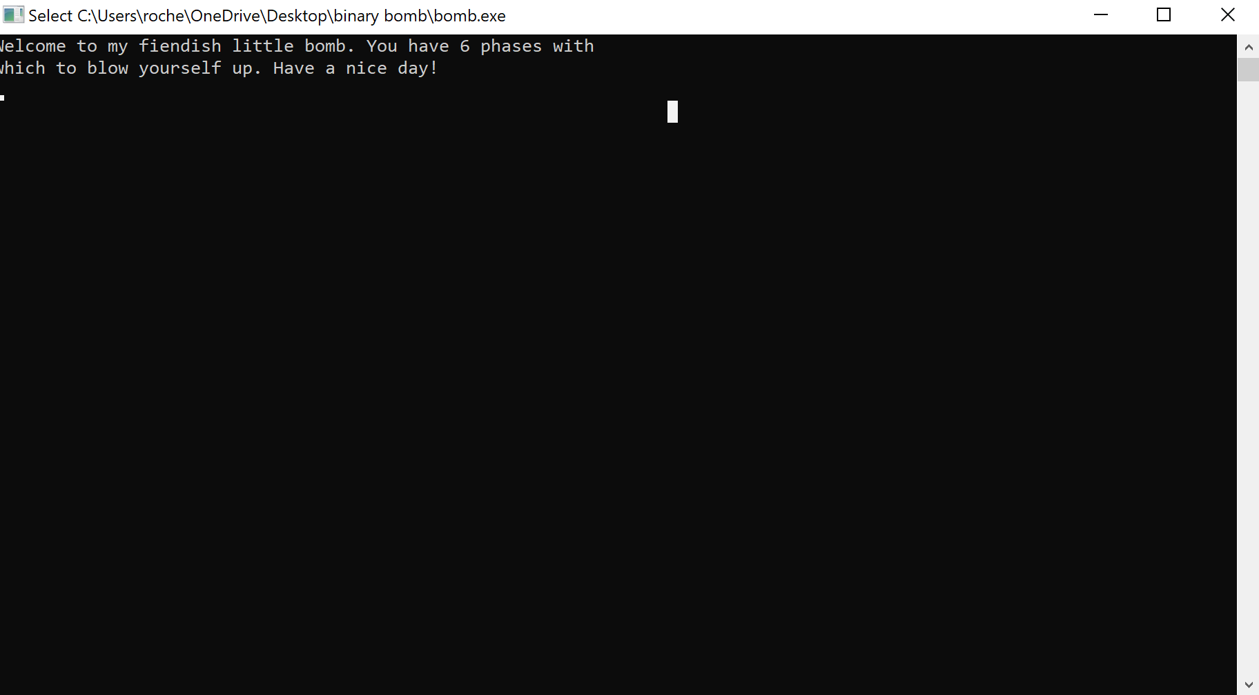 initial_run